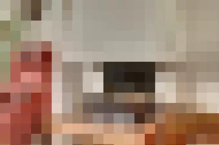 Acaciastraat 56 Nieuwegein thumbnail 12