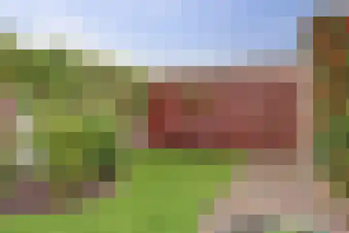 Acaciastraat 56 Nieuwegein thumbnail 43
