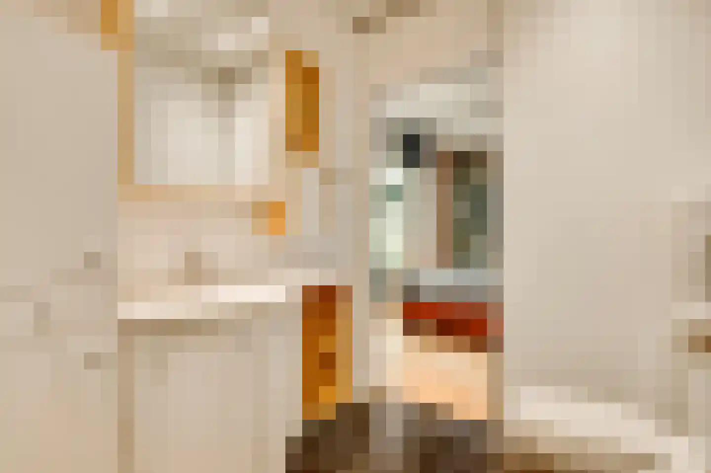 Acaciastraat 58 Nederweert thumbnail 29