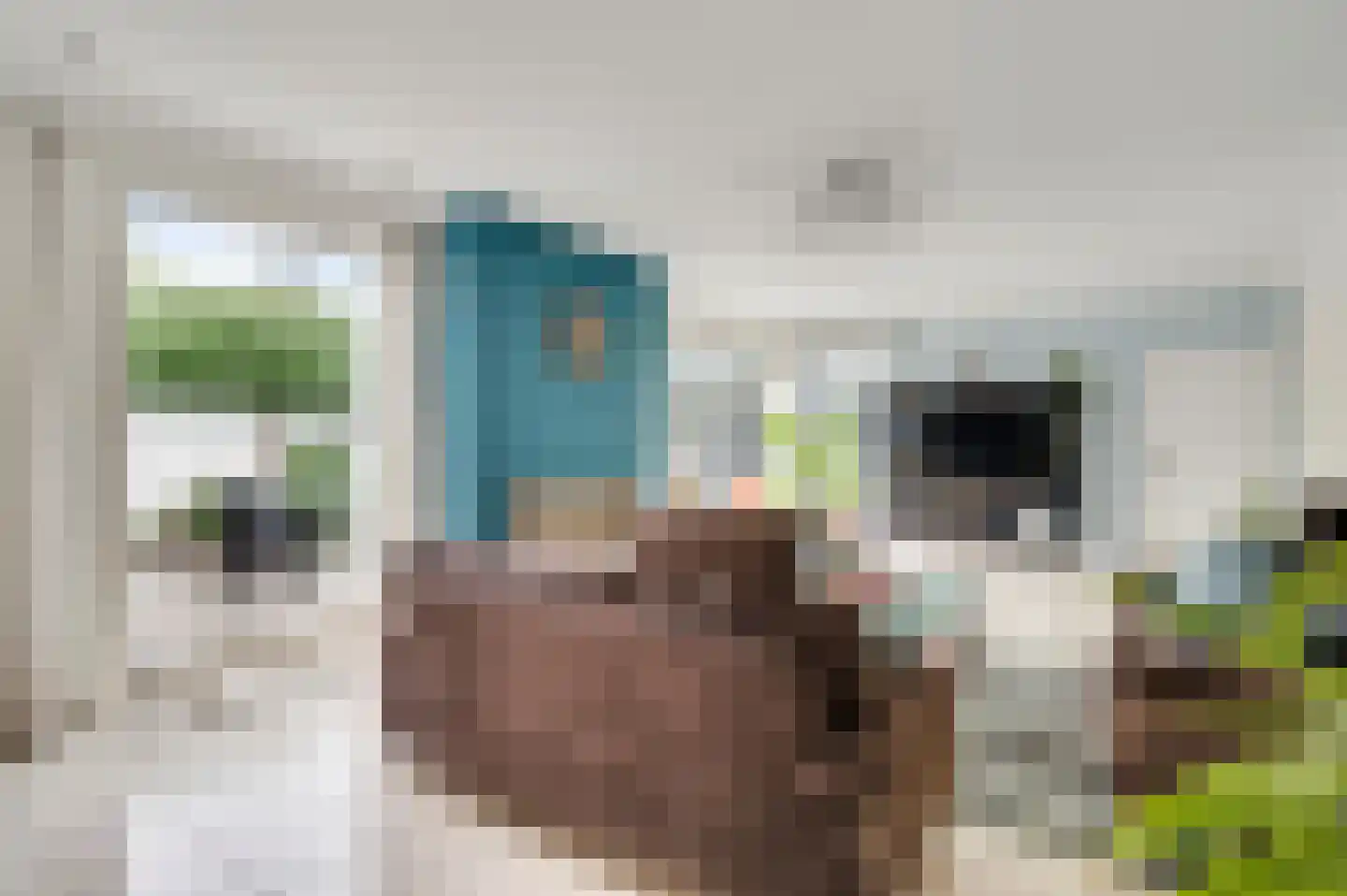 Acaciastraat 58 Nederweert thumbnail 6