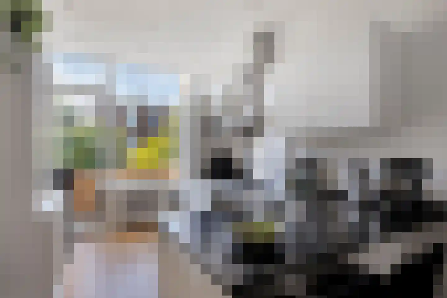 Acaciastraat 59 Den Haag thumbnail 14