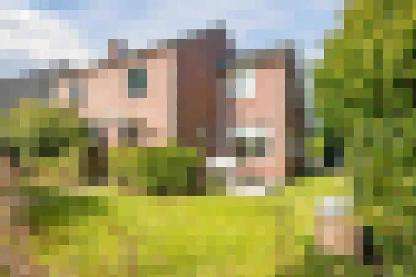 Acaciastraat 6 in Nieuwleusen