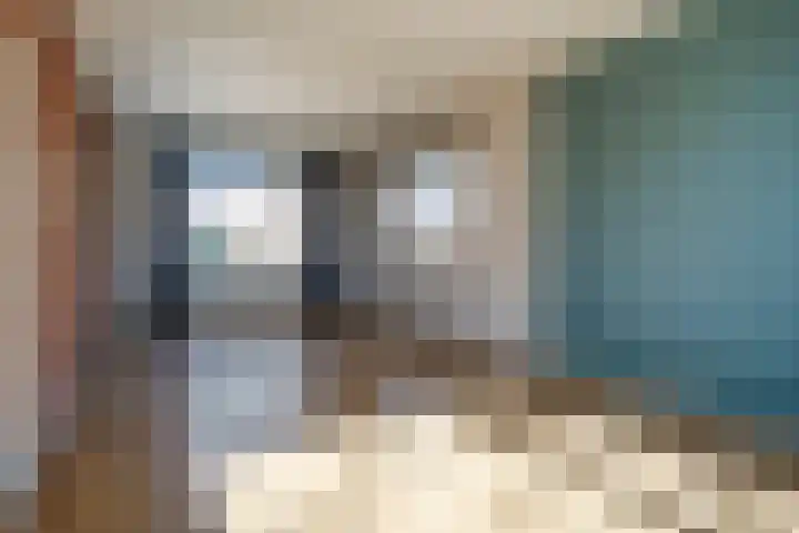 Acaciastraat 6 Gramsbergen thumbnail 10