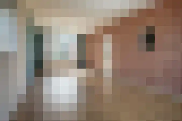 Acaciastraat 6 Gramsbergen thumbnail 11