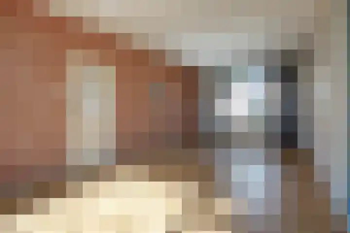 Acaciastraat 6 Gramsbergen thumbnail 13