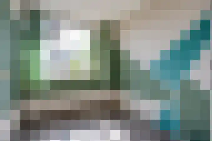 Acaciastraat 6 Gramsbergen thumbnail 21
