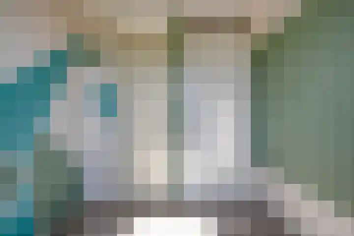 Acaciastraat 6 Gramsbergen thumbnail 22