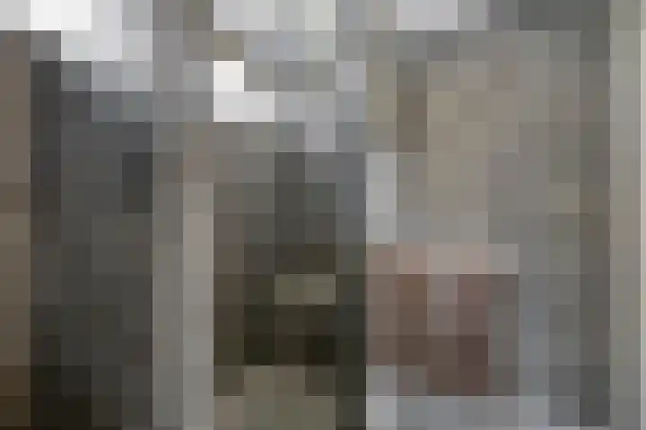 Acaciastraat 6 Gramsbergen thumbnail 23