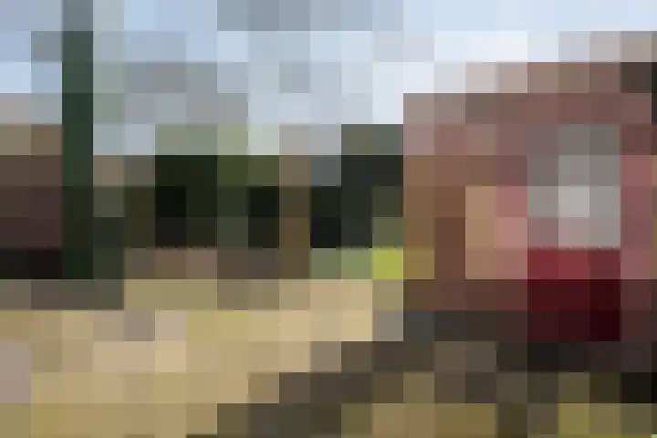 Acaciastraat 6 Gramsbergen thumbnail 25
