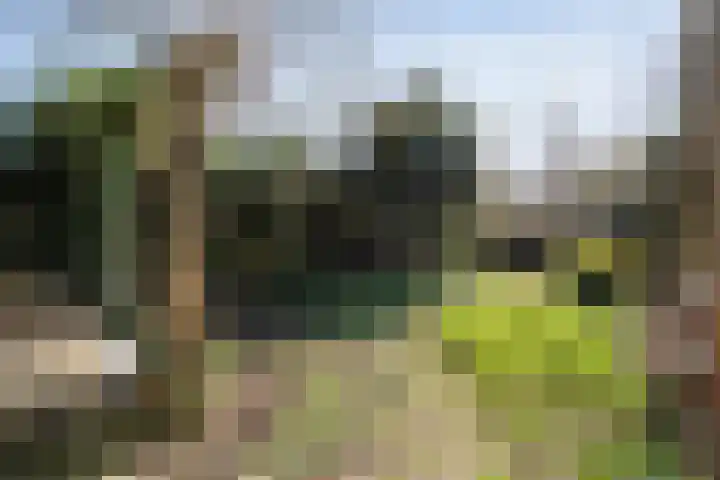 Acaciastraat 6 Gramsbergen thumbnail 27