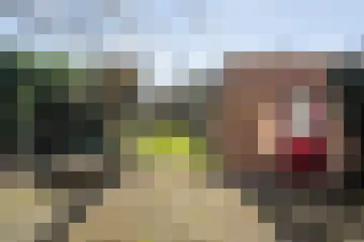 Acaciastraat 6 Gramsbergen thumbnail 29