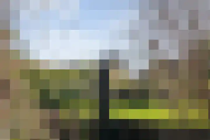 Acaciastraat 6 Gramsbergen thumbnail 31