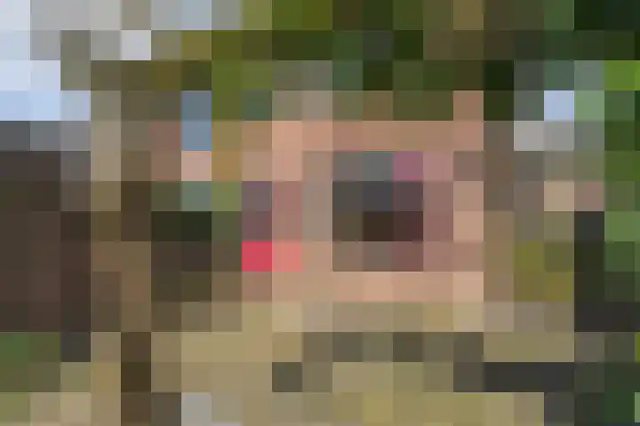 Acaciastraat 6 Gramsbergen thumbnail 33
