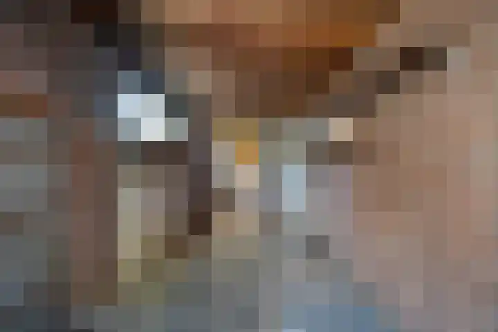 Acaciastraat 6 Gramsbergen thumbnail 35