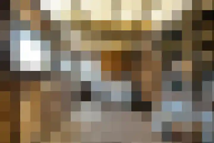 Acaciastraat 6 Gramsbergen thumbnail 36