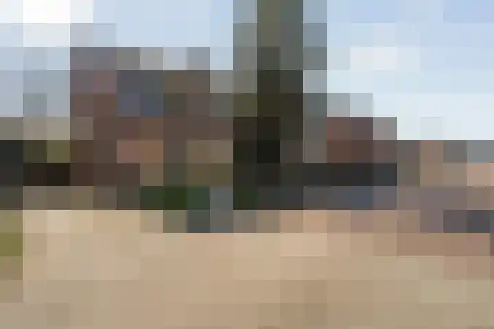 Acaciastraat 6 Gramsbergen thumbnail 4