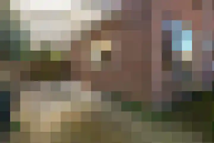 Acaciastraat 6 Gramsbergen thumbnail 5