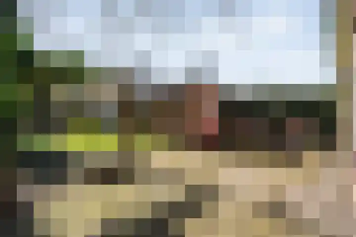 Acaciastraat 6 Gramsbergen thumbnail 6
