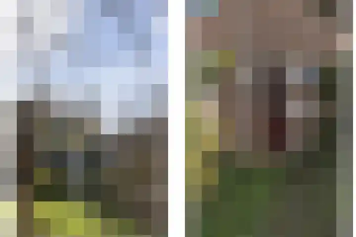 Acaciastraat 6 Gramsbergen thumbnail 7