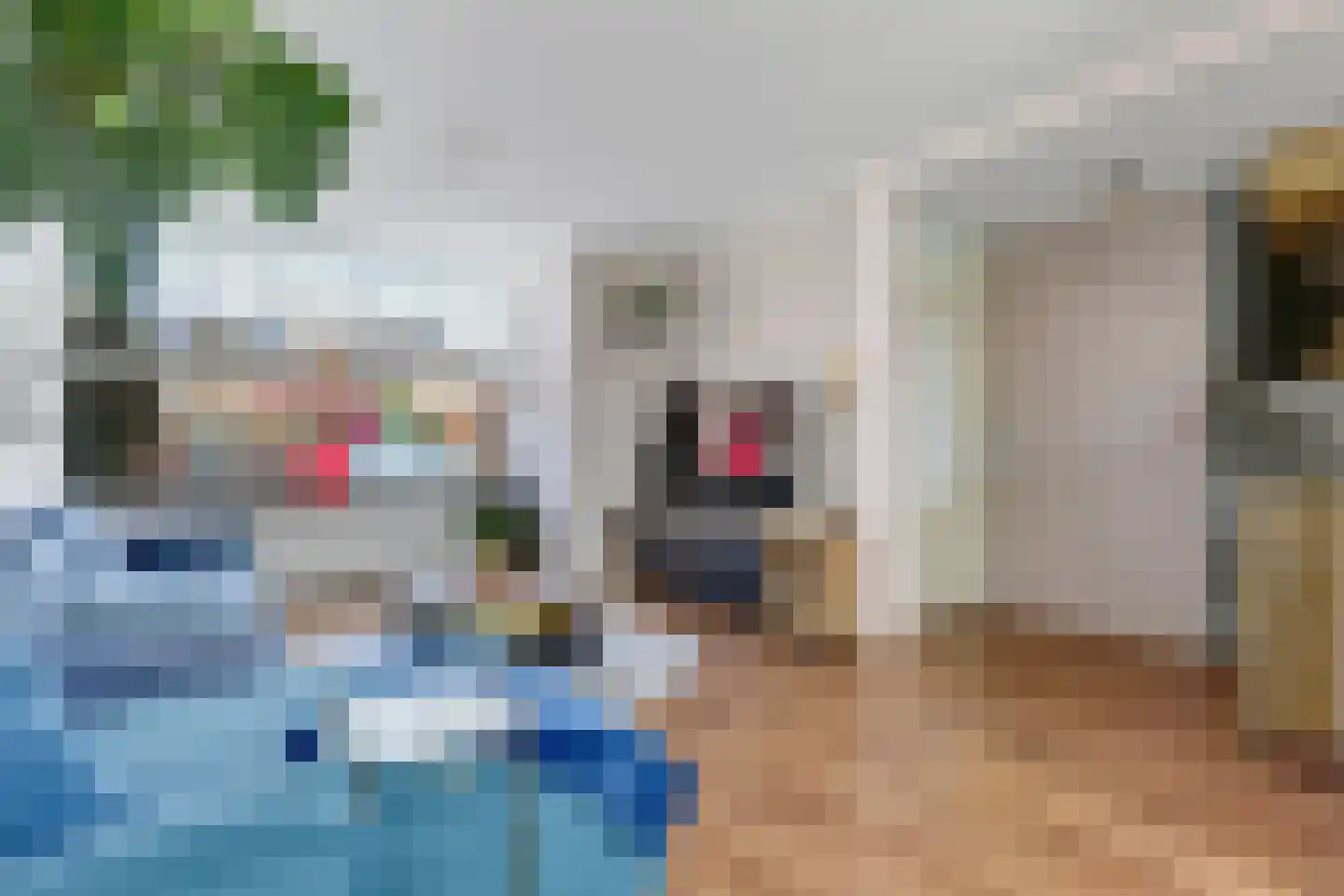 Acaciastraat 6 Oud-Beijerland thumbnail 10