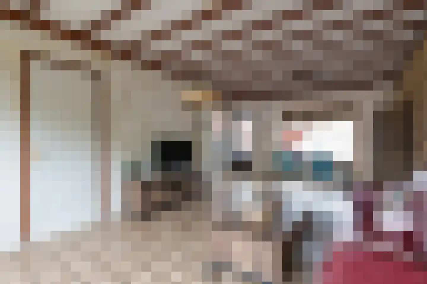 Acaciastraat 60 Brunssum thumbnail 29