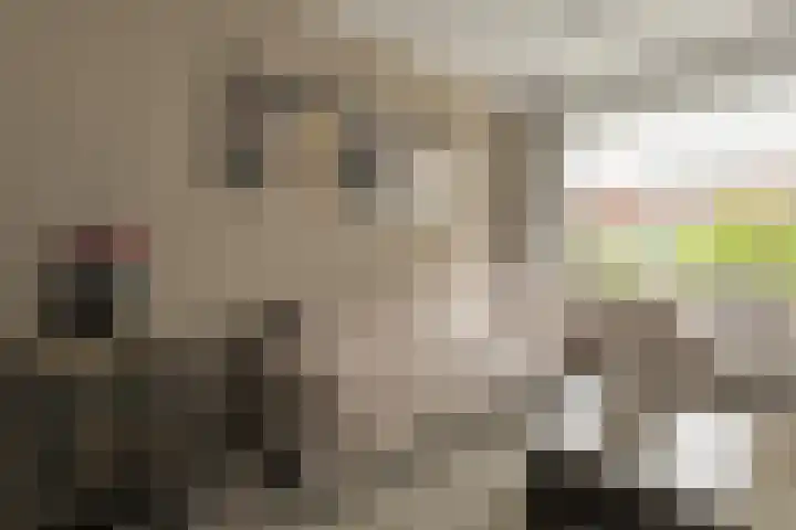 Acaciastraat 62 Breda thumbnail 10