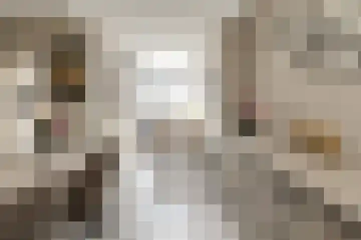 Acaciastraat 62 Breda thumbnail 14