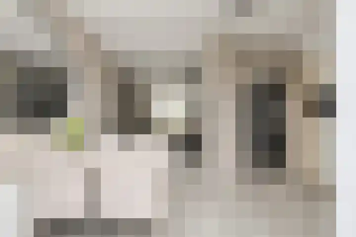 Acaciastraat 62 Breda thumbnail 4