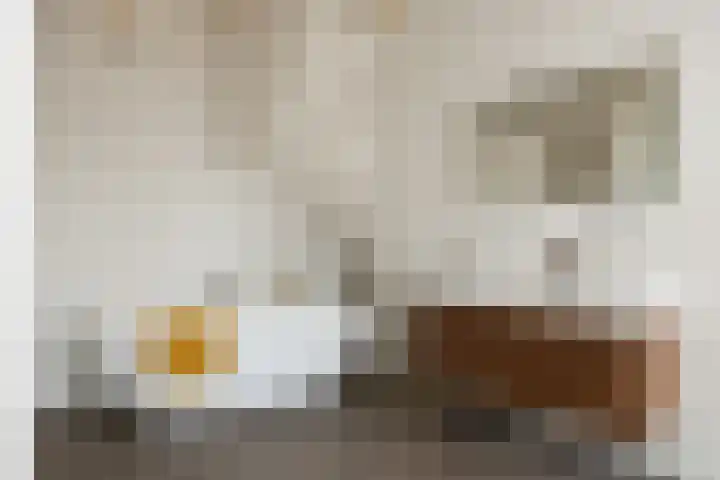 Acaciastraat 62 Breda thumbnail 5