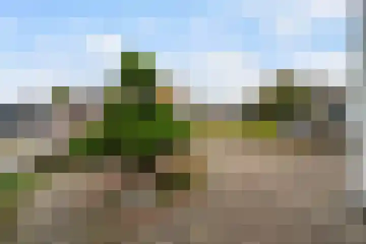 Acaciastraat 62 Nederweert thumbnail 8