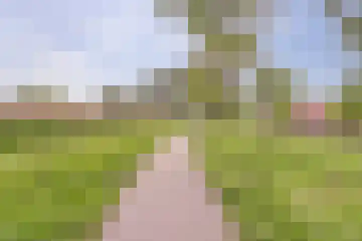 Acaciastraat 64 Waddinxveen thumbnail 40
