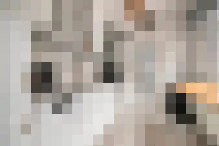 Acaciastraat 67 Breda thumbnail 12