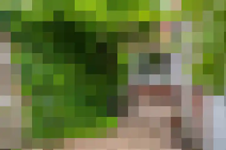 Acaciastraat 67 Breda thumbnail 31