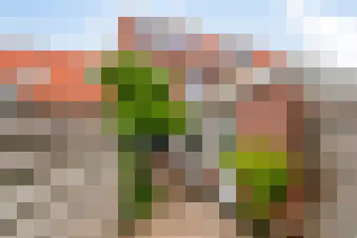 Acaciastraat 67 Breda thumbnail 32