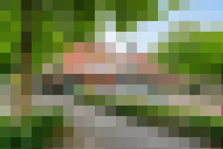 Acaciastraat 67 Breda thumbnail 34