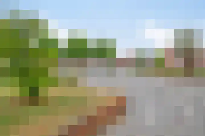 Acaciastraat 67 Breda thumbnail 36