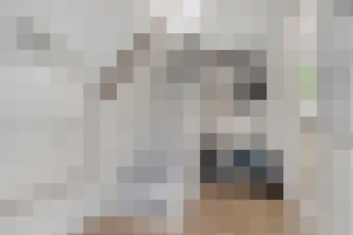 Acaciastraat 67 Breda thumbnail 4