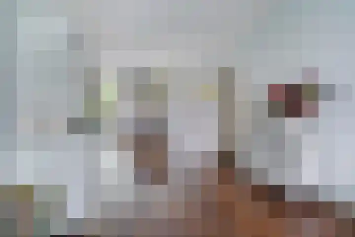 Acaciastraat 68 Den Haag thumbnail 12