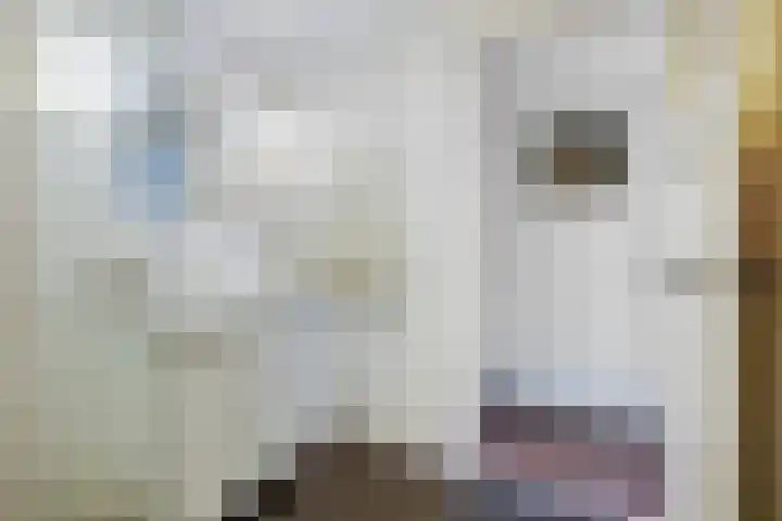 Acaciastraat 68 Den Haag thumbnail 33
