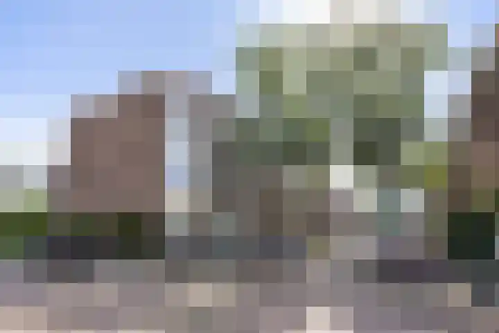 Acaciastraat 68 Den Haag thumbnail 38