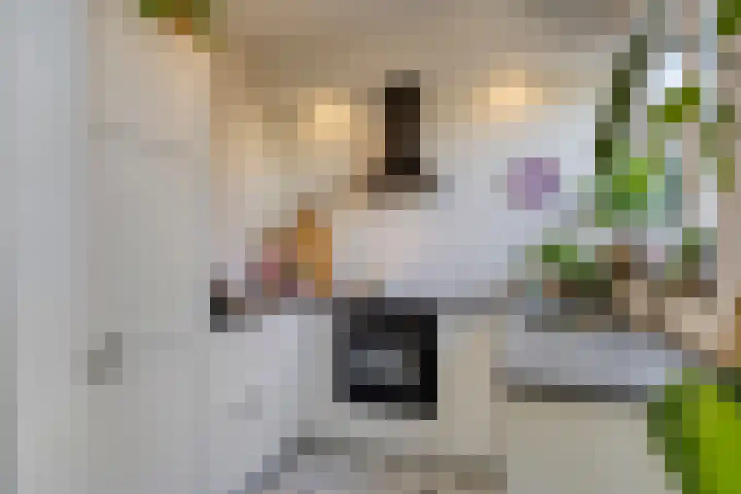Acaciastraat 7 Beek thumbnail 10