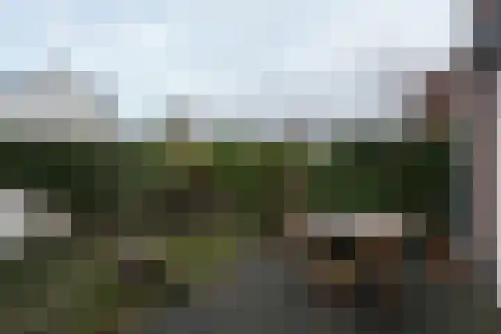 Acaciastraat 7 Beek thumbnail 15