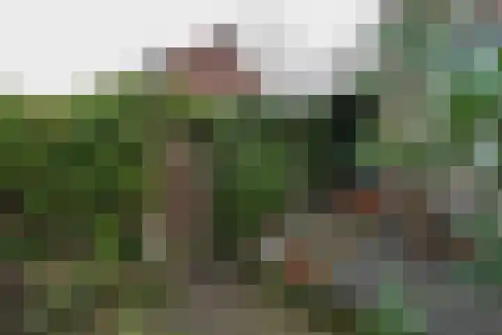 Acaciastraat 7 Beek thumbnail 18