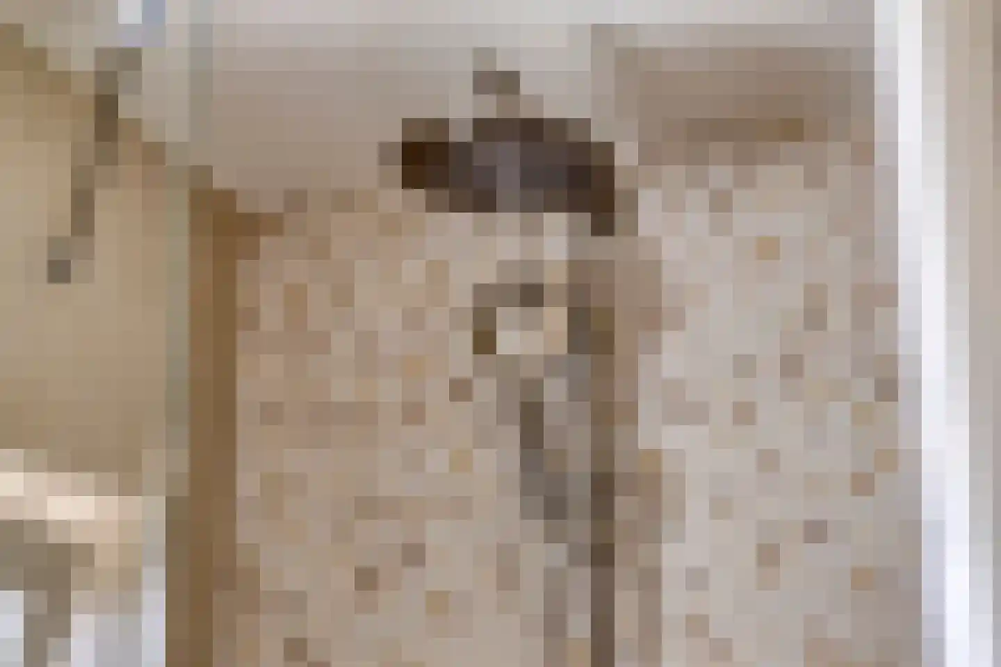 Acaciastraat 7 Beek thumbnail 18