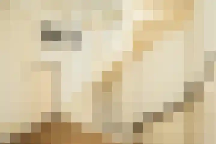Acaciastraat 7 Beek thumbnail 27