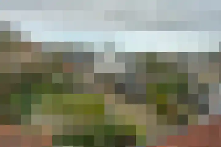 Acaciastraat 7 Beek thumbnail 34