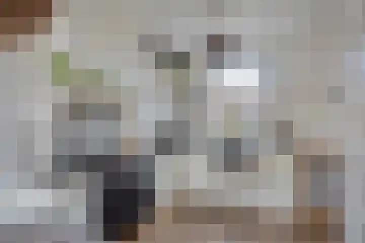 Acaciastraat 7 Opheusden thumbnail 4
