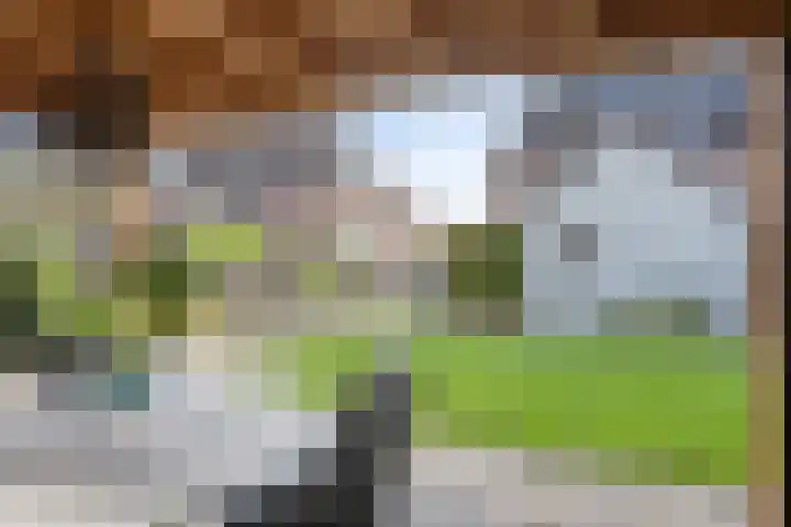 Acaciastraat 7 Opheusden thumbnail 45
