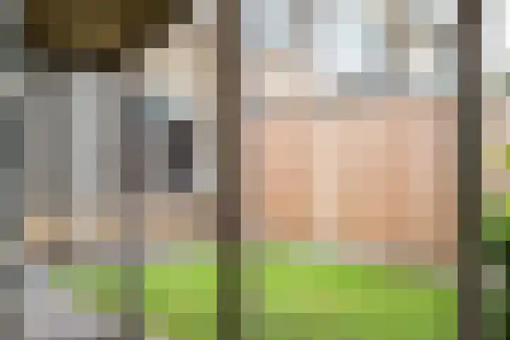 Acaciastraat 7 Rouveen thumbnail 19