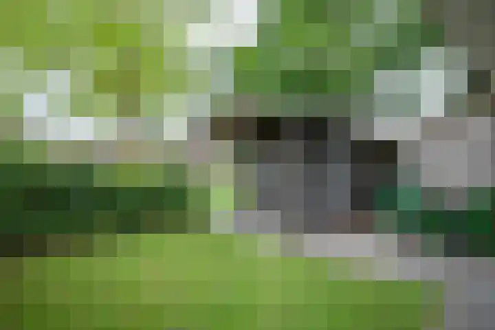 Acaciastraat 7 Rouveen thumbnail 20